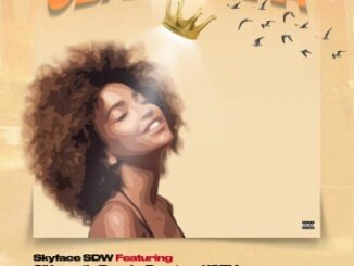 [Music] Skyface SDW ft O’ Kenneth, Reggie, Beeztrap Kotm, Kwaku DMC & Jay Bahd – Obaa Hemaa