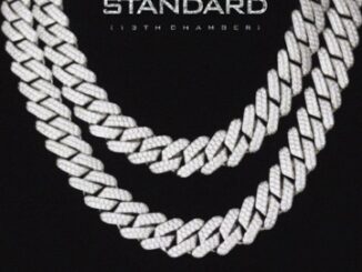 [Music] Shatta Wale – Standard