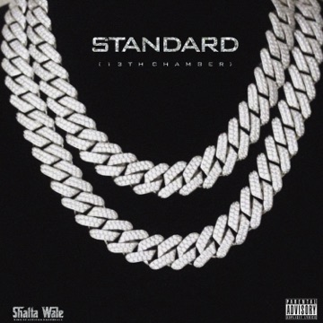 [Music] Shatta Wale – Standard