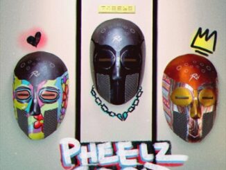 [Music] Pheelz – Pheelz Like Summer