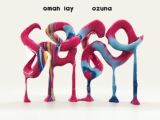 Download MP3: Omah Lay ft Ozuna – Soso (Remix)