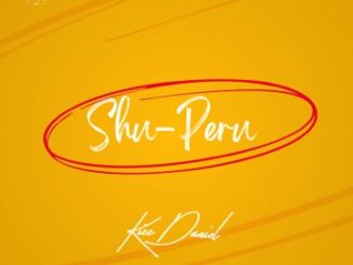 Kizz Daniel – Shu-Peru Mp3 Download