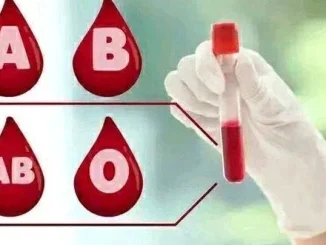 The Best Blood Group For Good Health