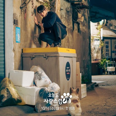 A Good Day to Be a Dog Season 1 (Episode 1 Added) (Korean Drama)