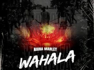 Naira Marley – Wahala Audio